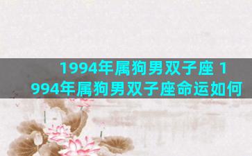 1994年属狗男双子座 1994年属狗男双子座命运如何
